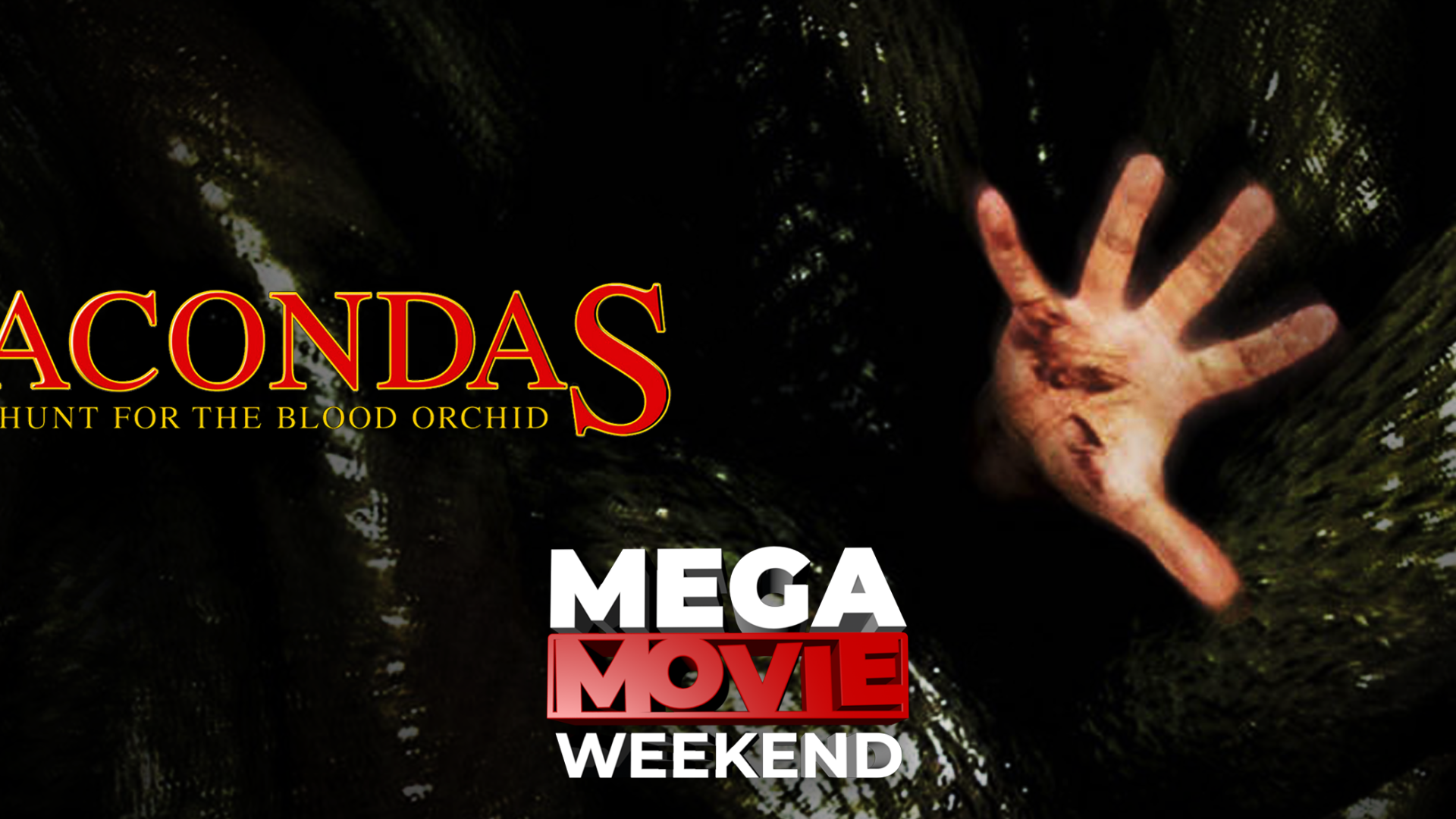 Mega Movie Weekend