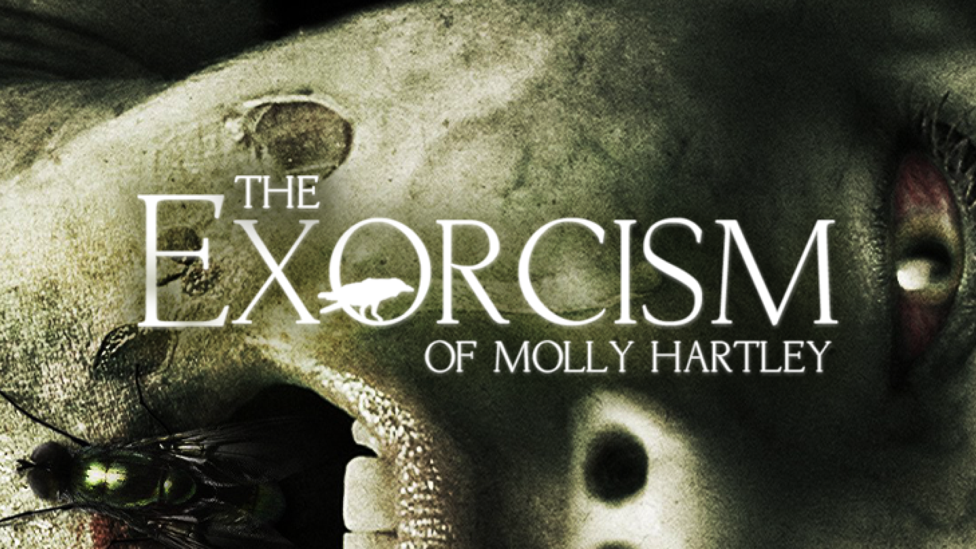 The exorcism of shop molly hartley