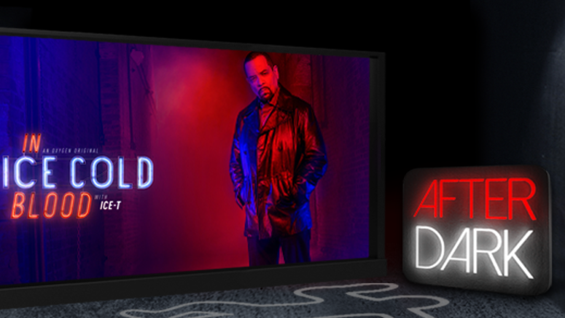 eReality Channel 108