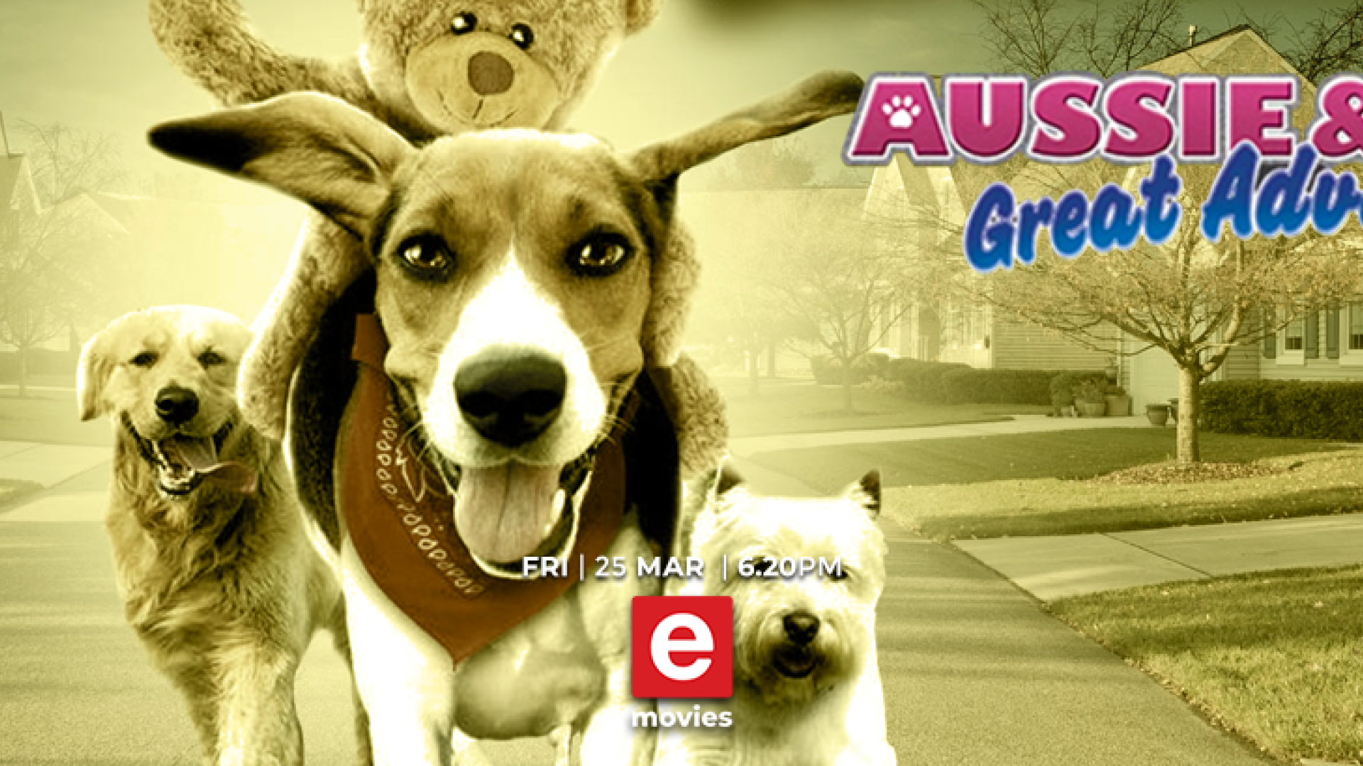 Aussie and Ted | e.tv